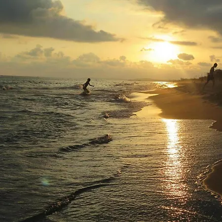 En Cerca De La Playa